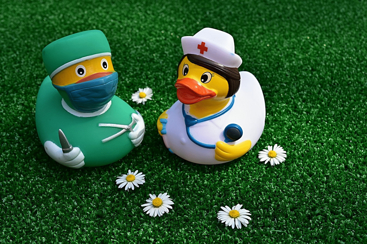 Do I Need Guinea Pig Insurance?