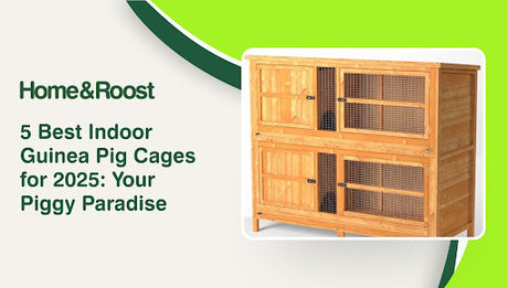 5 Best Indoor Guinea Pig Cages for 2025: Your Piggy Paradise