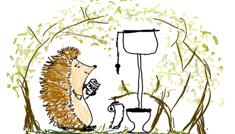 A closer Look At Hedgehog Poo