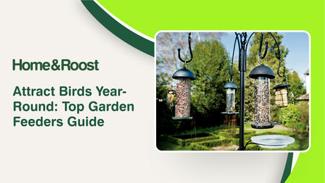 Attract Birds Year-Round: Top Garden Feeders Guide