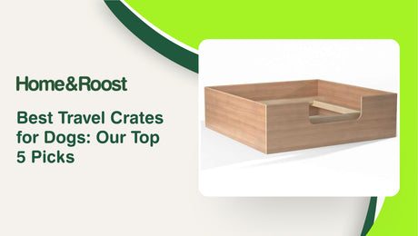 Best Travel Crates for Dogs: Our Top 5 Picks