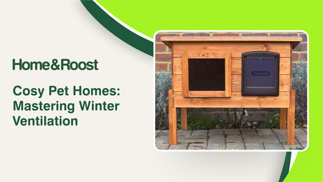 Cosy Pet Homes: Mastering Winter Ventilation