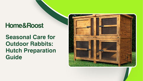 Seasonal Care for Outdoor Rabbits: Hutch Preparation Guide