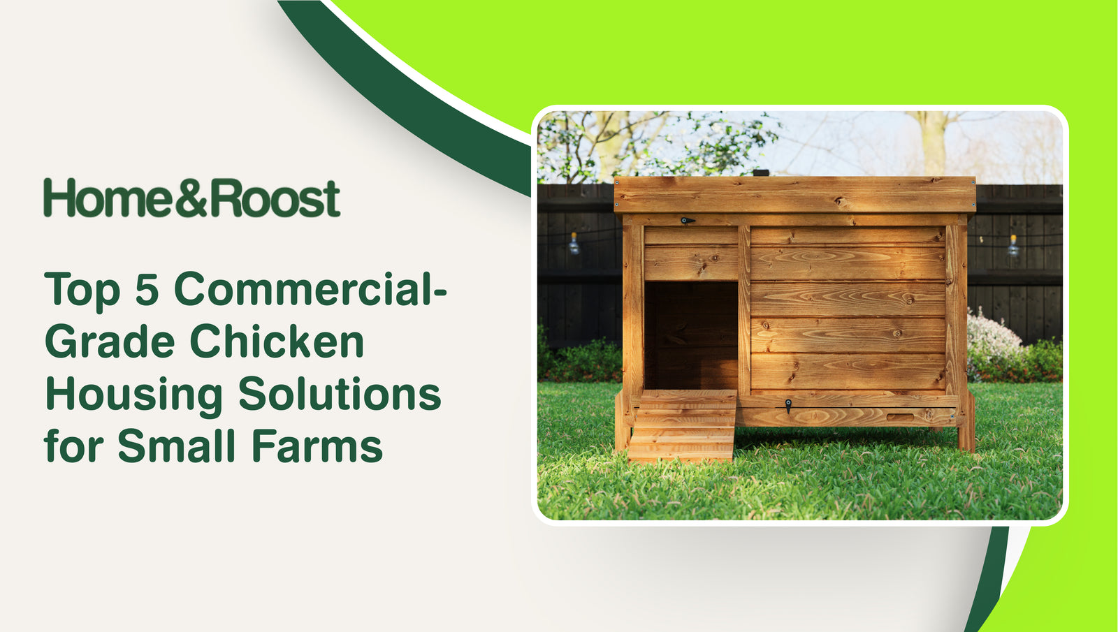 Top 5 Commercial-Grade Chicken Housing Solutions for Small Farms
