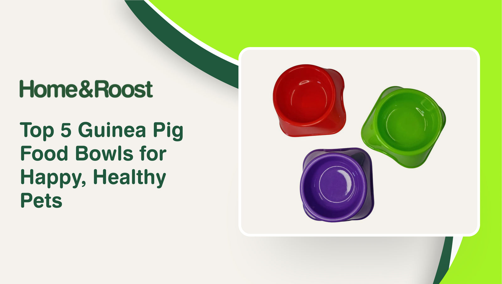 Top 5 Guinea Pig Food Bowls for Happy, Healthy Pets