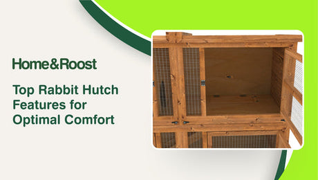 Top Rabbit Hutch Features for Optimal Comfort