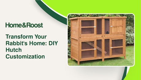 Transform Your Rabbit's Home: DIY Hutch Customization