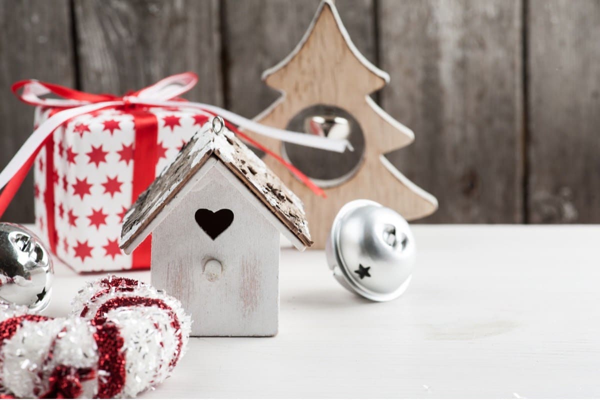 The Best Christmas Gifts for Bird Lovers