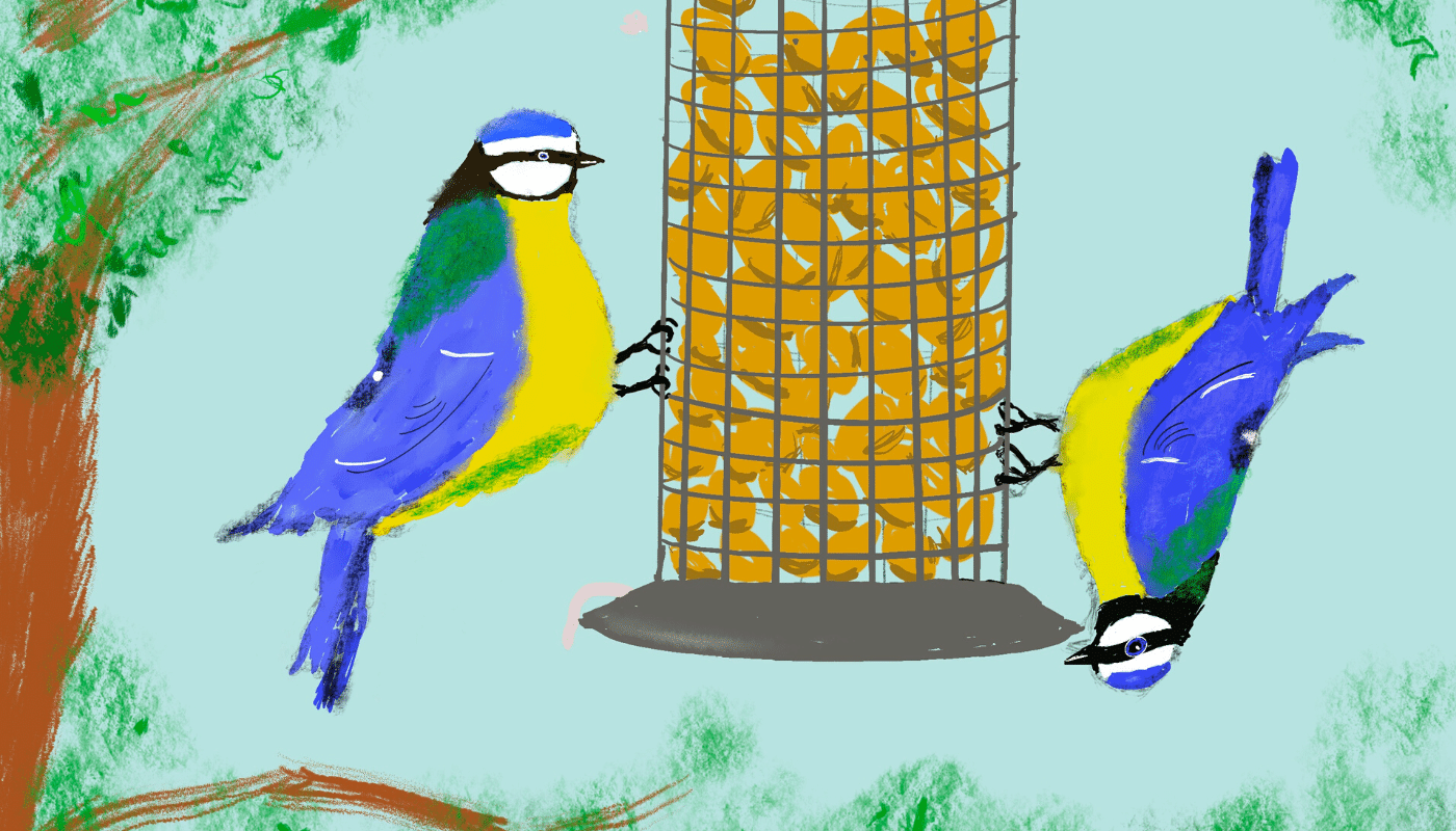 What Do Blue Tits Eat? Natural Diet And top Bird Table Treats