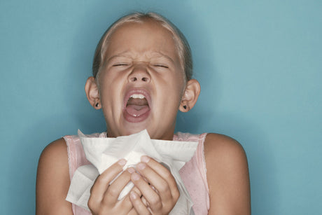 10 Ways To Reduce Guinea Pig Allergies
