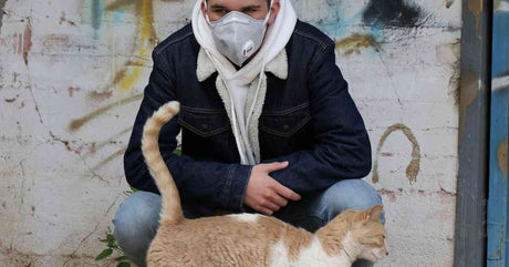 COVID-19 and Cats | Keeping Your Pet Safe in the Pandemic