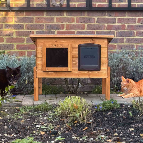 Outdoor Cat Houses for sale