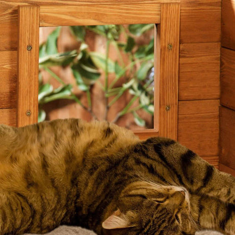 Cat House Beds