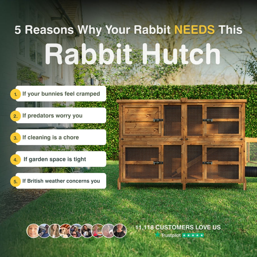 Wooden rabbit hutch with reasons why a rabbit needs one, set against a garden background.
