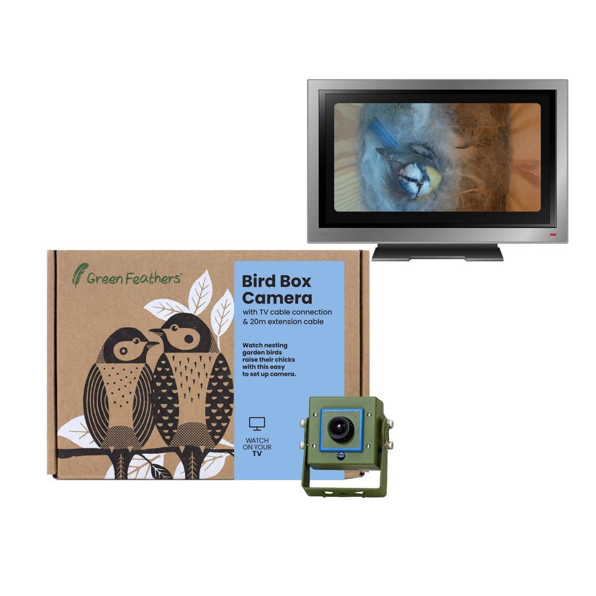 Cable Connection Bird Box & Wildlife Camera