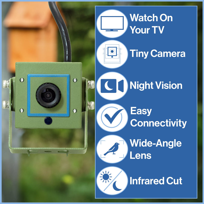 Cable Connection Bird Box & Wildlife Camera