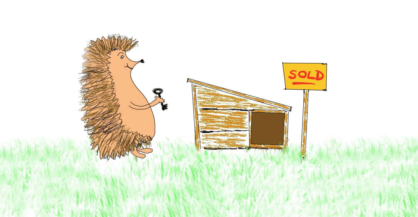 The Best Hedgehog Houses 2025 How To Choose