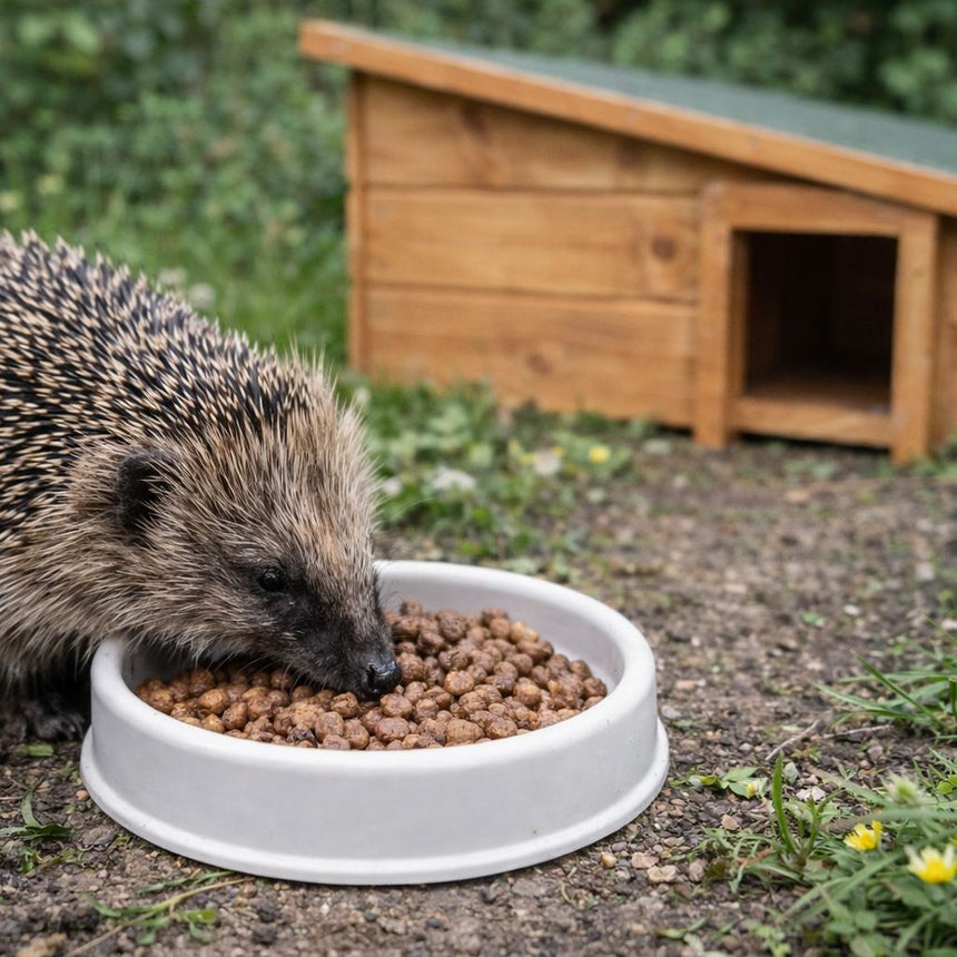 Home & Roost Shallow Hedgehog Feeding Dish 5"