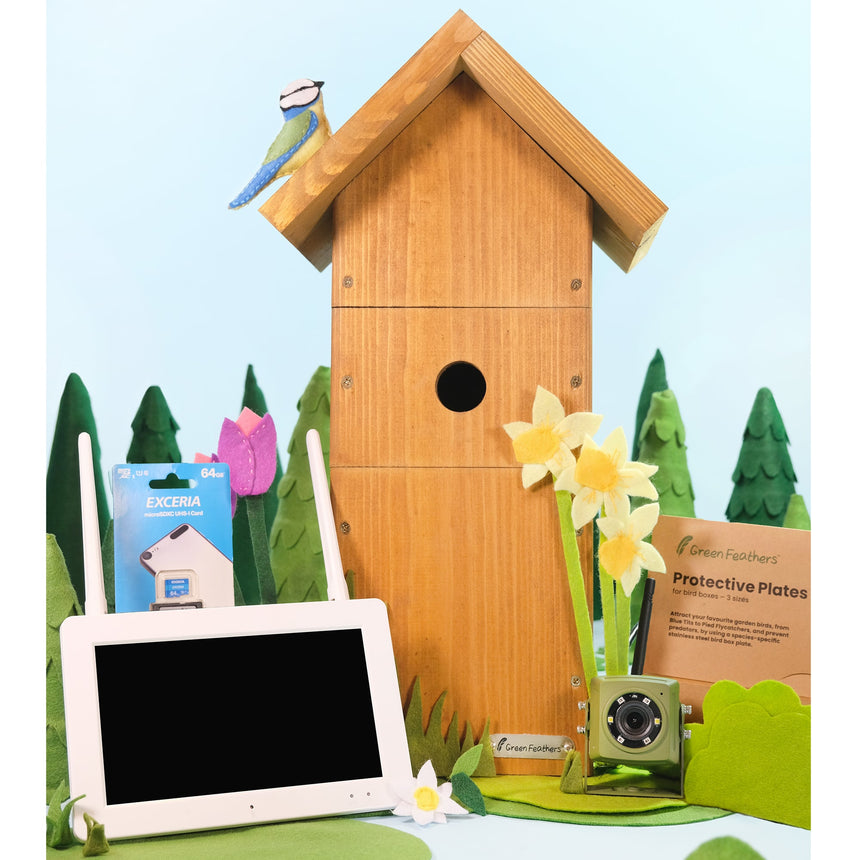 Wireless Bird Box Camera & Screen Complete Pack