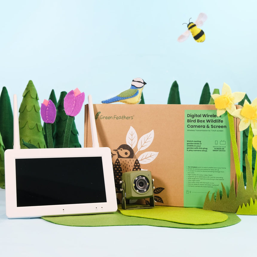 Wireless Bird Box Camera & Screen Pack