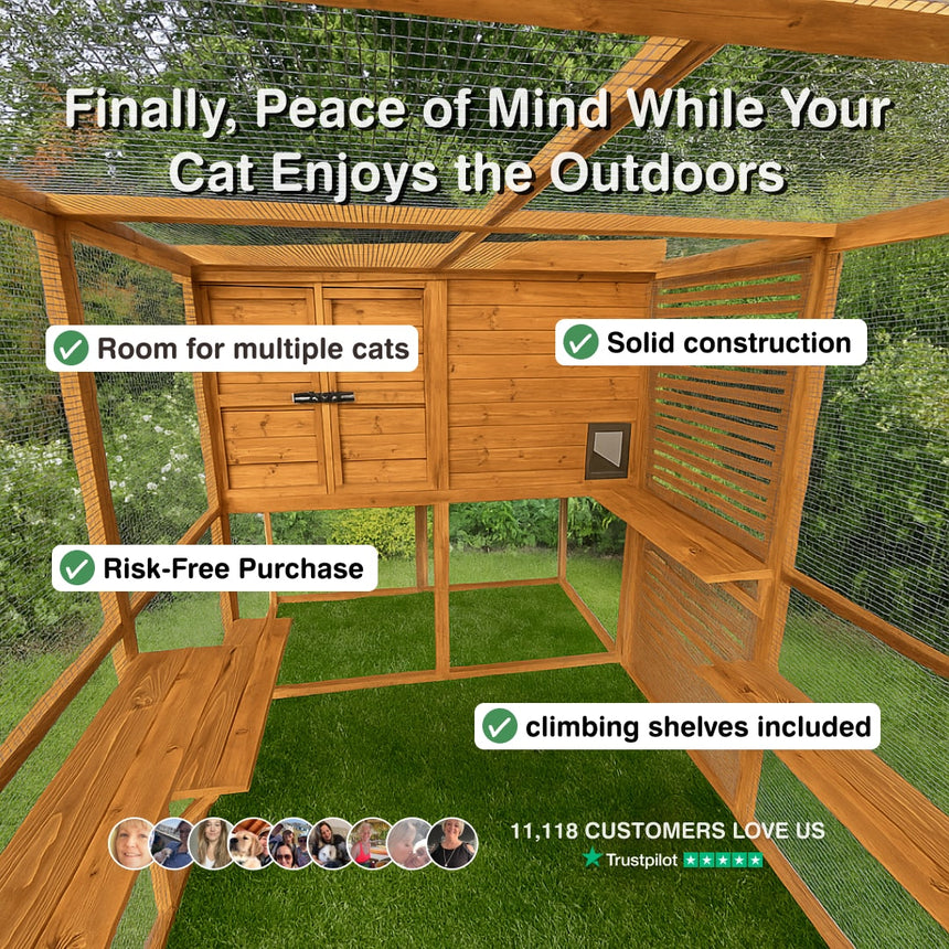 Wooden cat enclosure with features listed on a green lawn