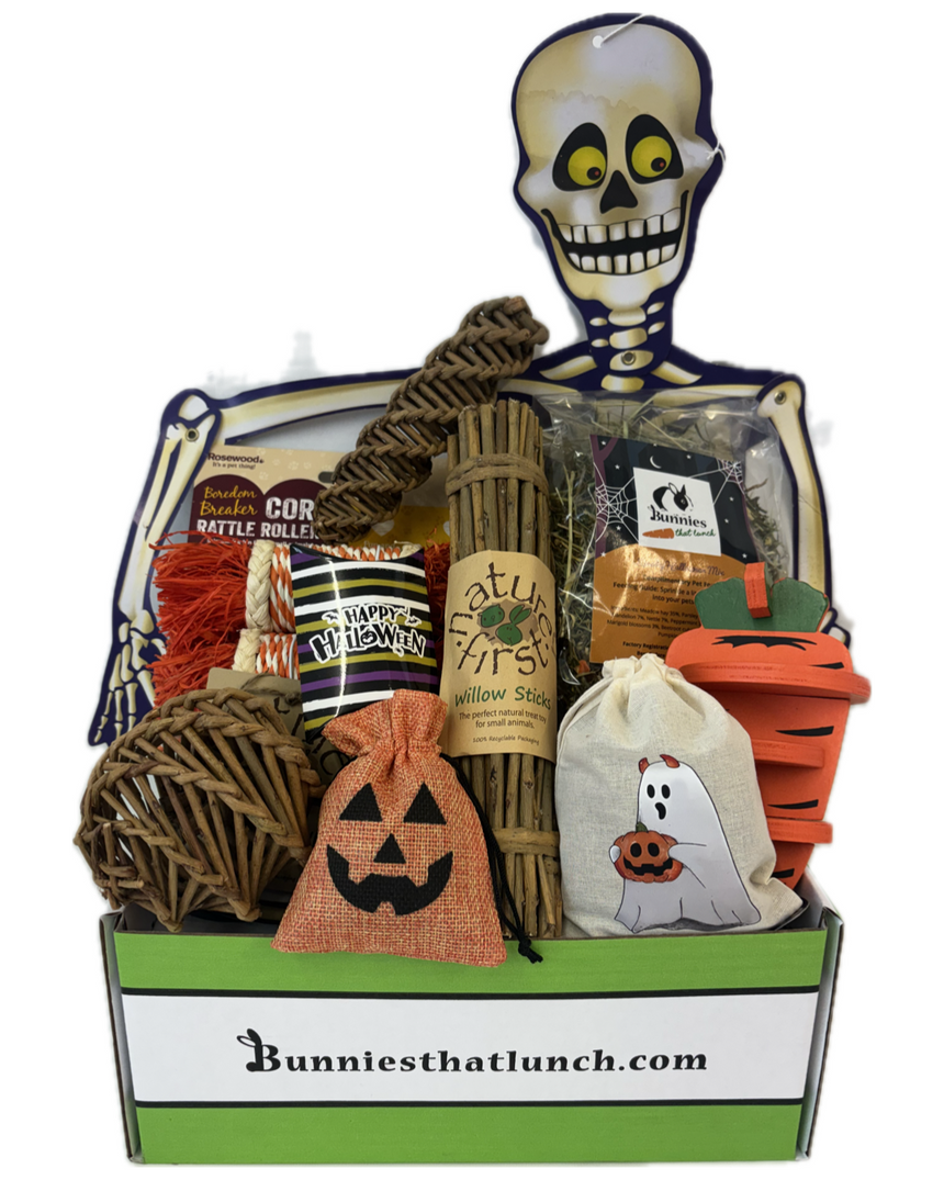 Halloween-themed rabbit toy subscription box gift basket with skeleton, pumpkins, and various items on a white background.