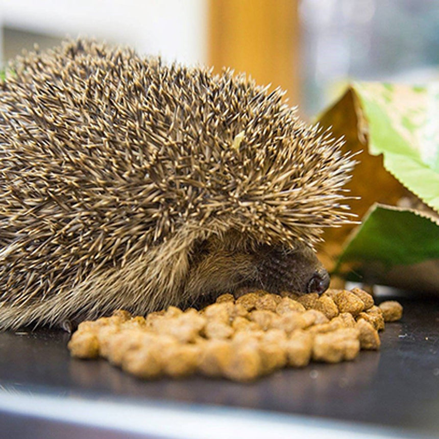Brambles Crunchy Hedgehog Food | 2kg & 900g Available - Home & Roost