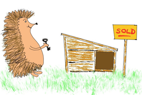 The Best Hedgehog Houses - How To Choose?