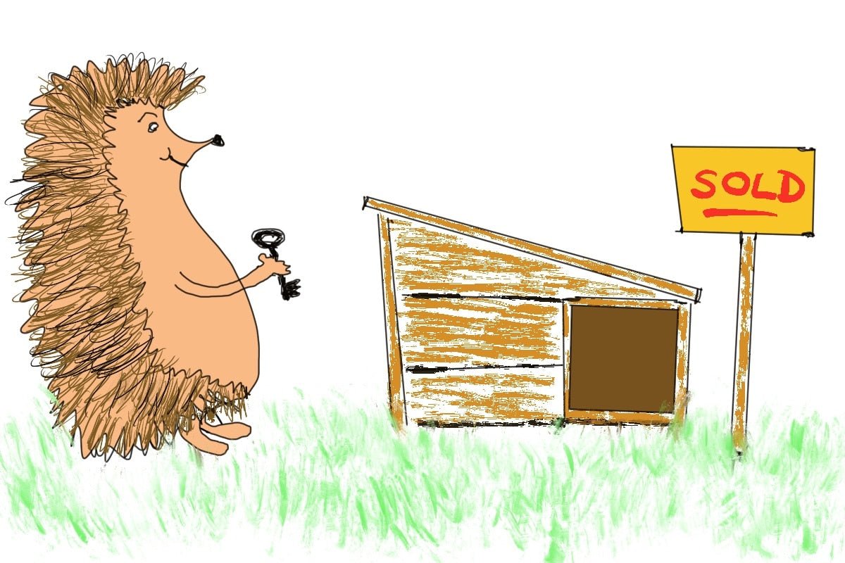 The Best Hedgehog Houses - How To Choose?