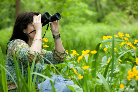 The Best Binoculars For Bird Watching | How To Choose