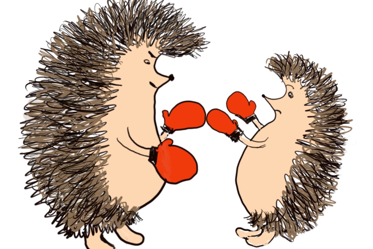 Why Do Hedgehogs Fight?