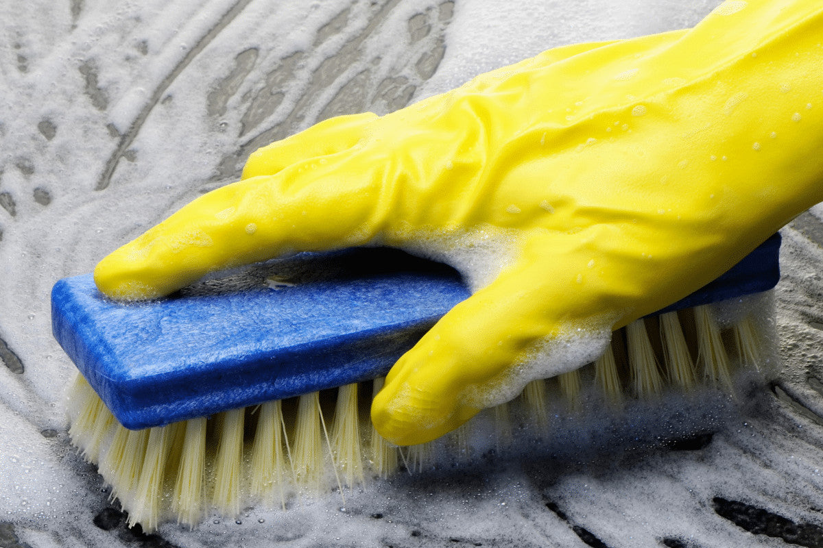 How To Clean a Bird Table