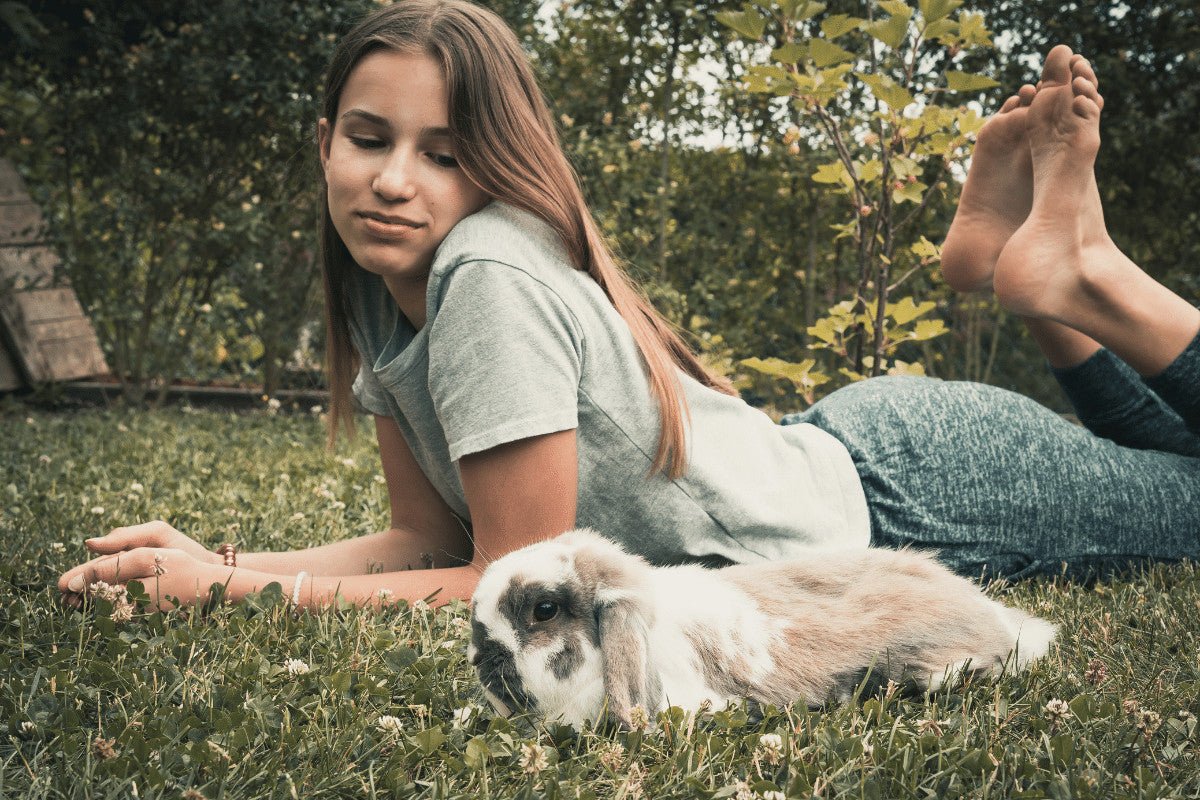 How To Tell If Your Rabbit Likes You