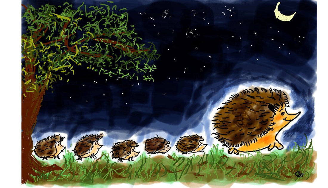 When do Hedgehogs Have Babies?