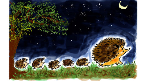 When do Hedgehogs Have Babies?