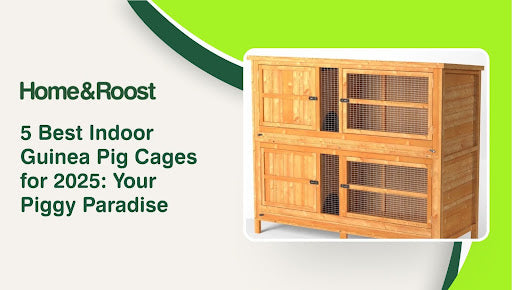 Indoor guinea pig cages for 2 clearance