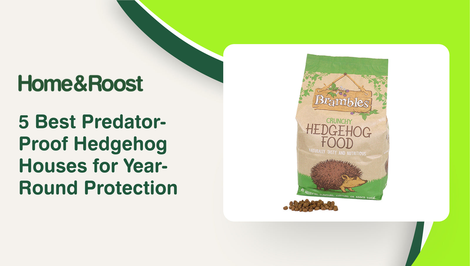 5 Best Predator-Proof Hedgehog Houses for Year-Round Protection