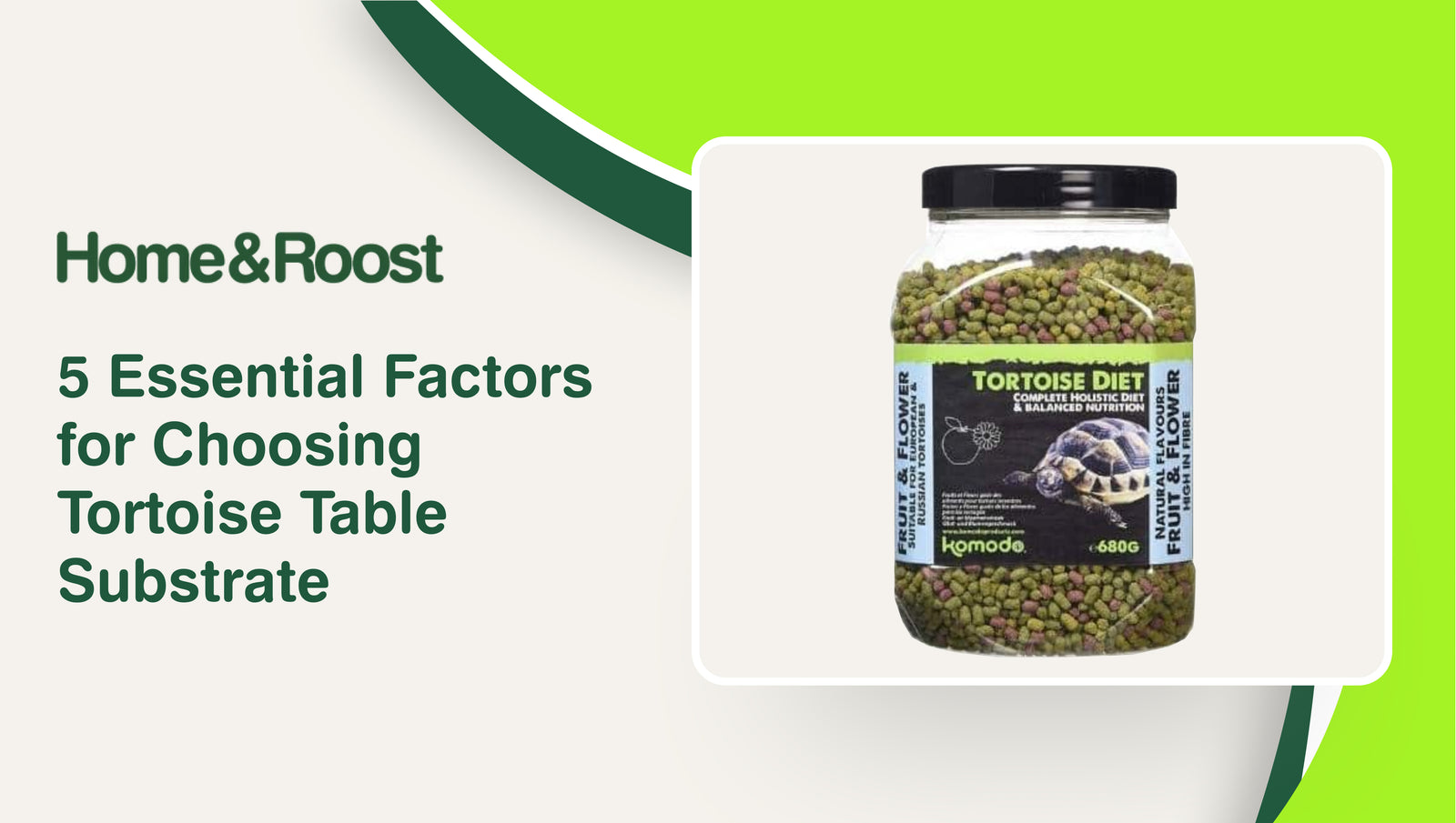5 Essential Factors for Choosing Tortoise Table Substrate