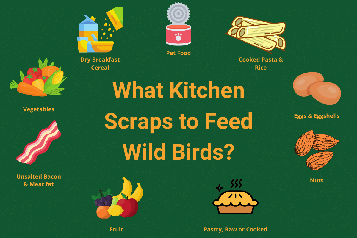 Kitchen Scraps For Garden Birds What to Feed and What to Avoid. Home Roost