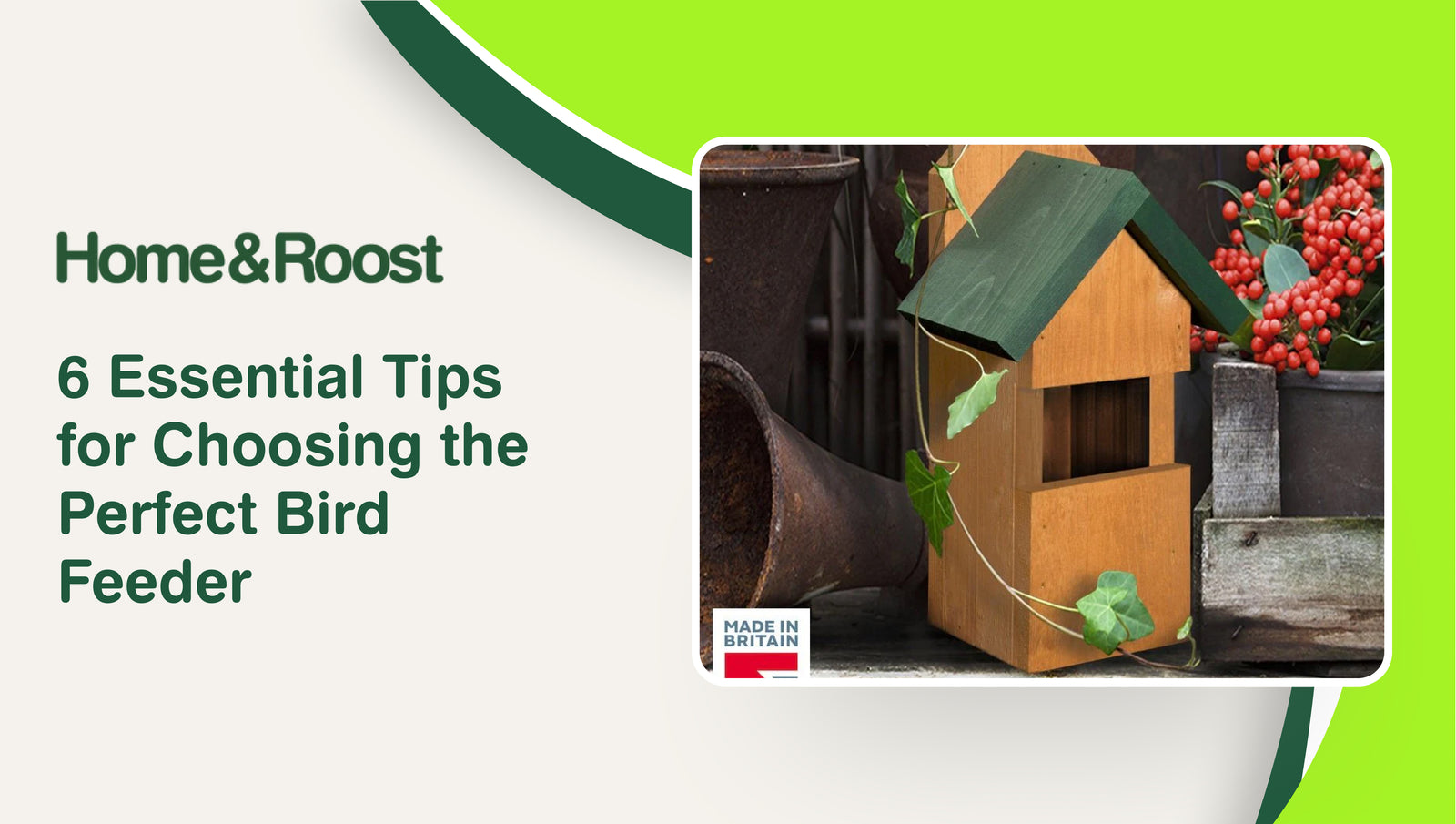 6 Essential Tips for Choosing the Perfect Bird Feeder