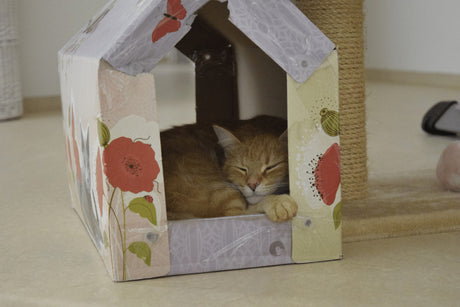 How To Make A Cat House | Help Protect Stray and Feral Cats