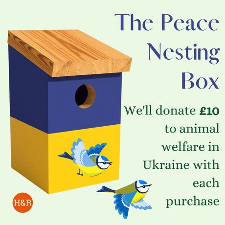 The Peace Nesting Box - Supporting Animal Welfare in Ukraine