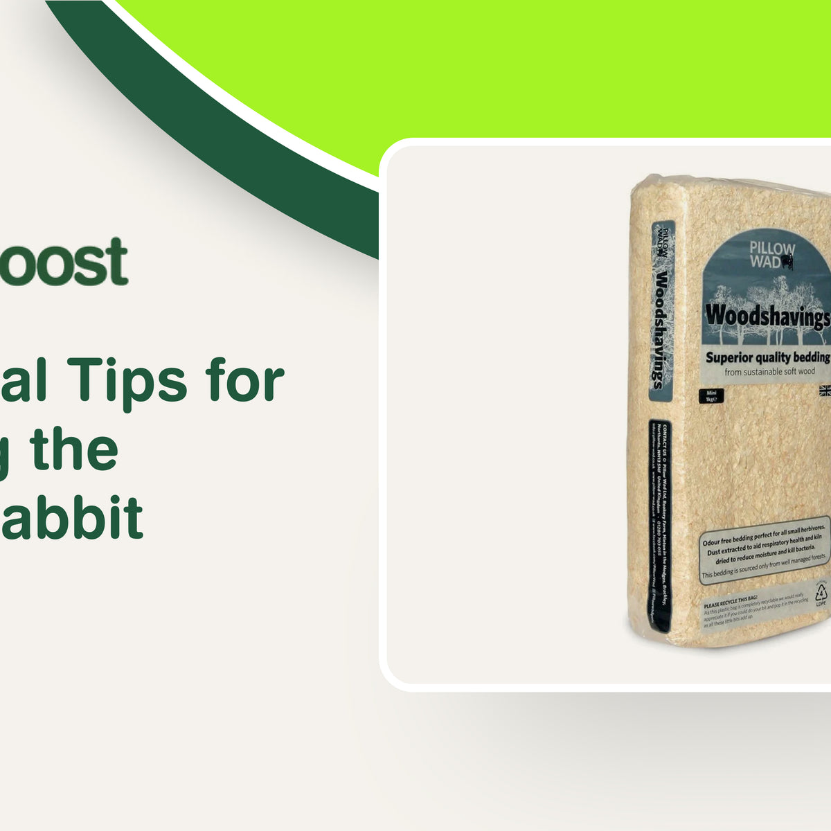 7 Essential Tips for Choosing the Perfect Rabbit Bedding – Home & Roost
