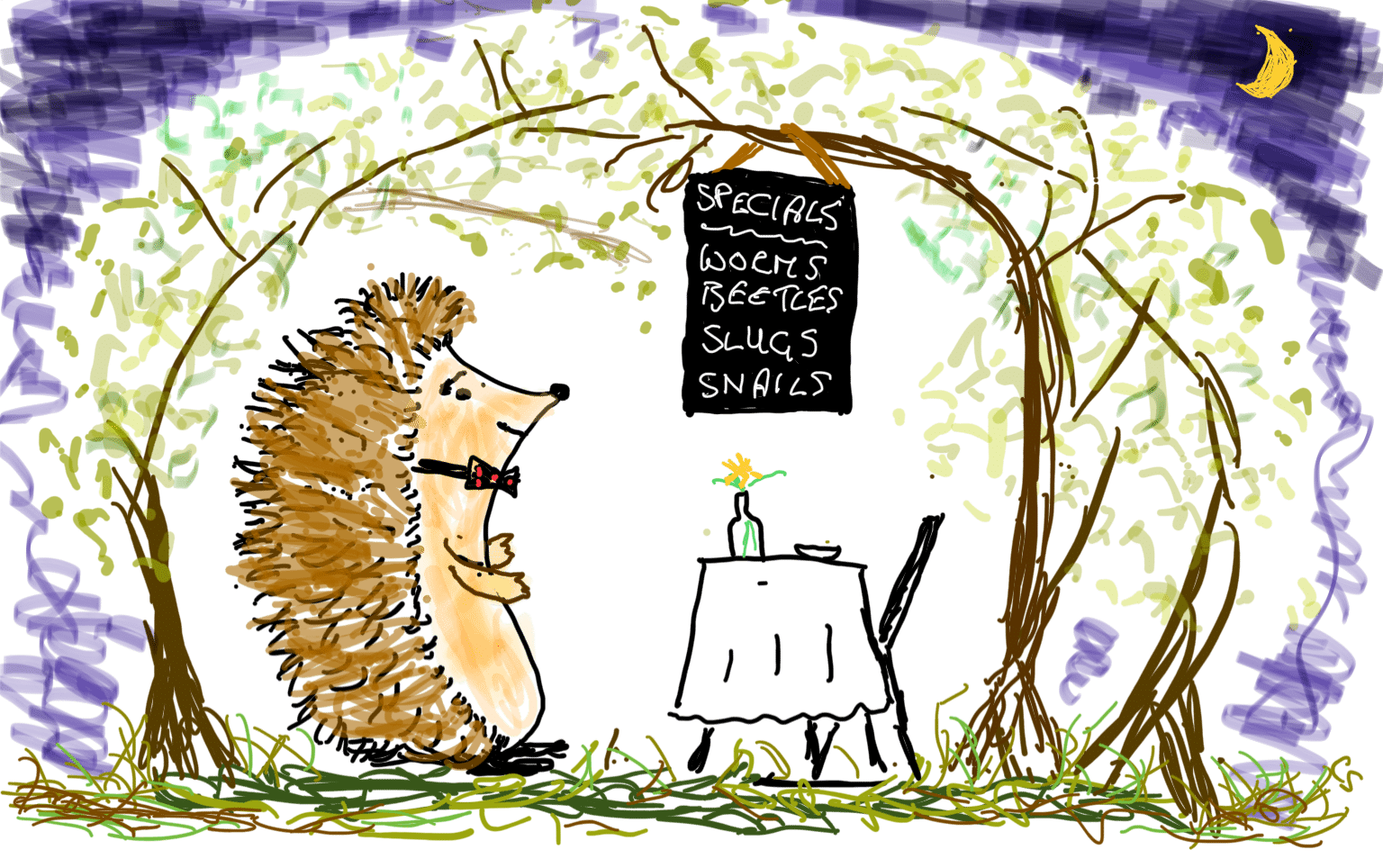 What Do Hedgehogs Eat? Your Complete Guide to Hedgehog Diet