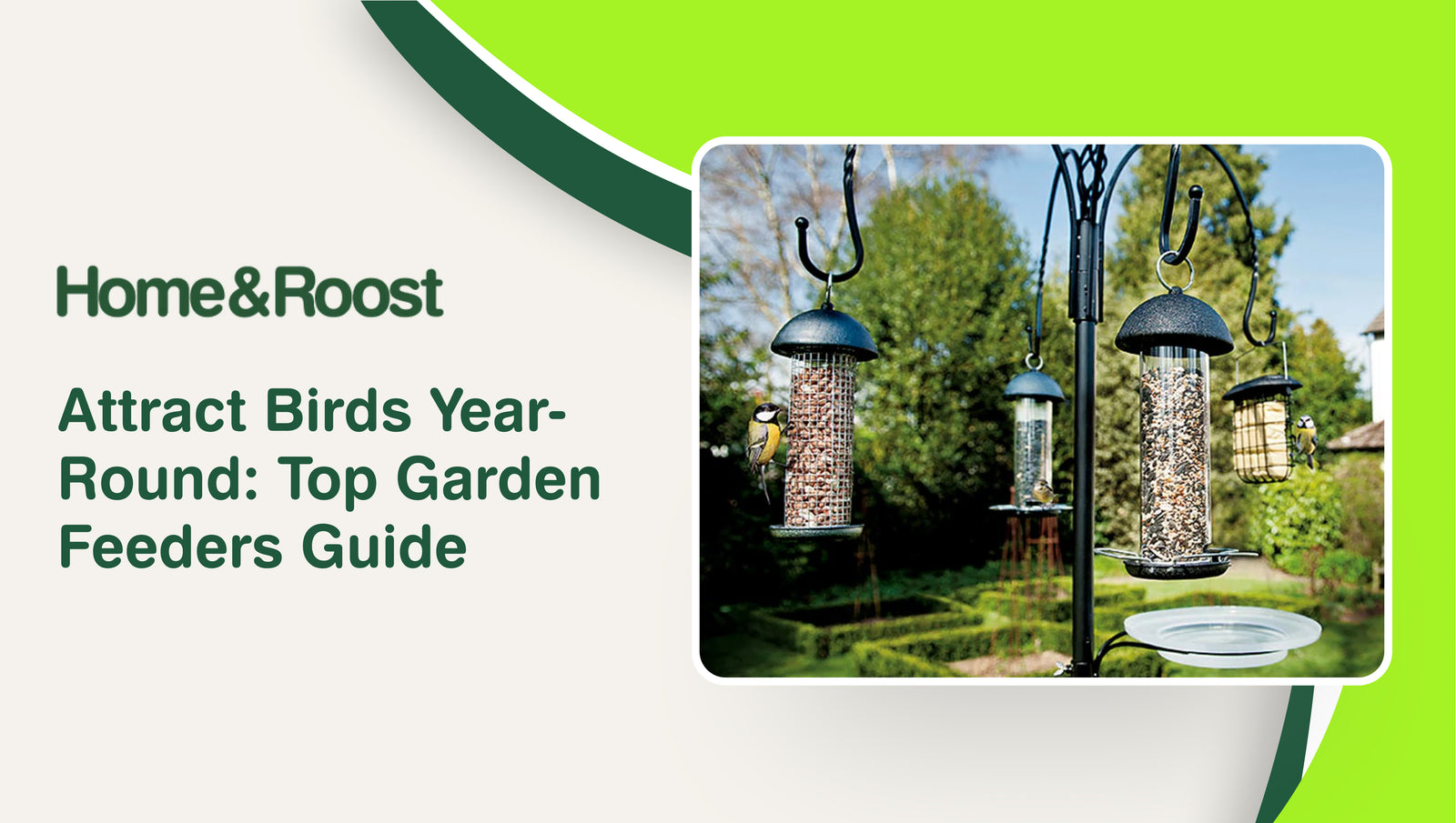 Attract Birds Year-Round: Top Garden Feeders Guide