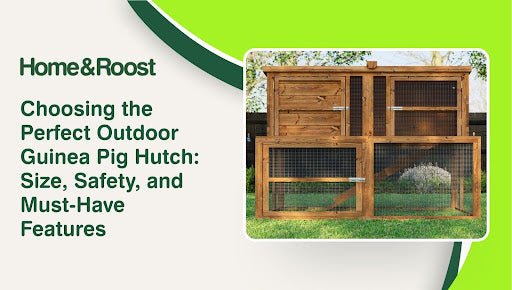 Choosing the Perfect Outdoor Guinea Pig Hutch: Size, Safety, and Must-Have Features