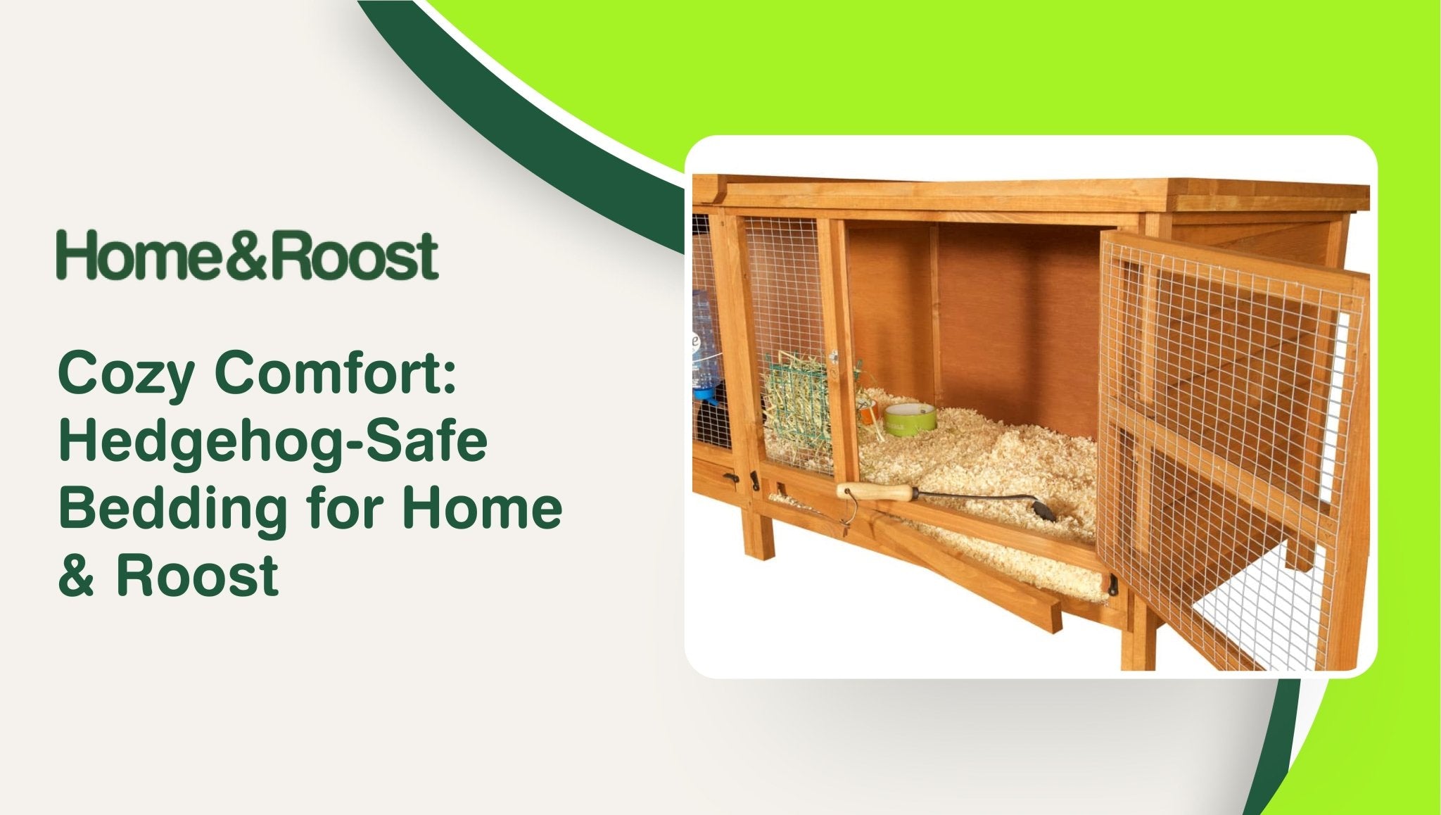 Cozy Comfort: Hedgehog-Safe Bedding for Home & Roost