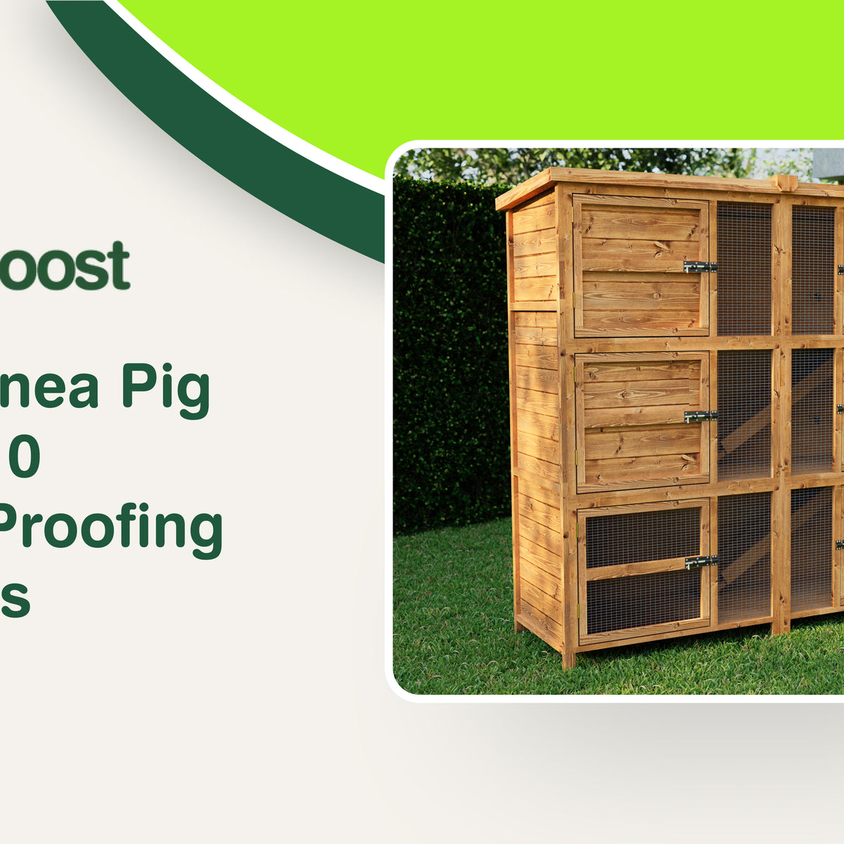 Cozy Guinea Pig Homes: 10 Autumn Proofing Essentials Home Roost