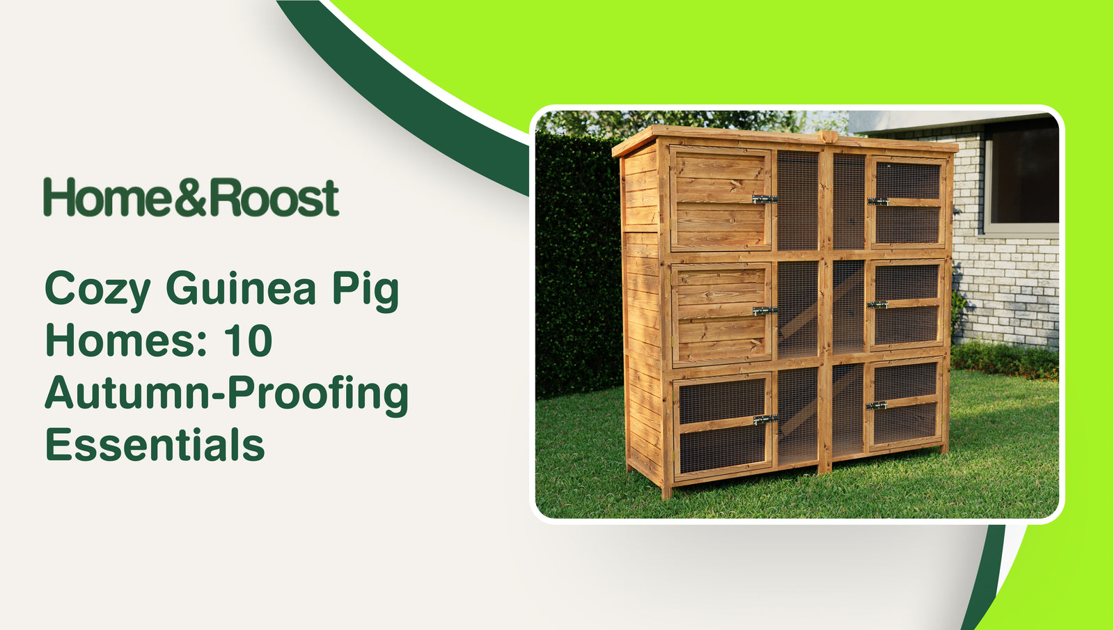 Cozy Guinea Pig Homes: 10 Autumn-Proofing Essentials