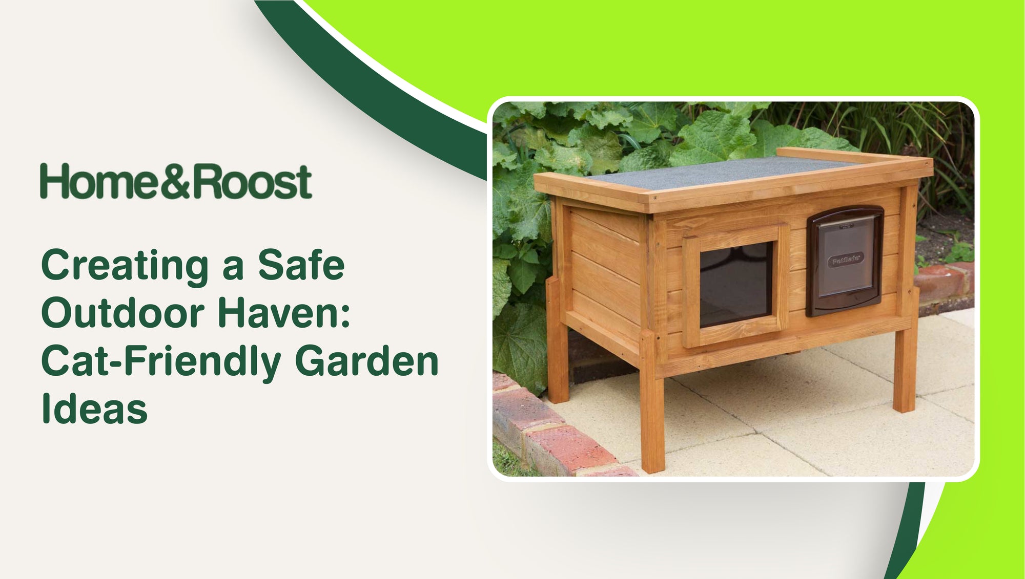 Cameron Miner October 18, 2024